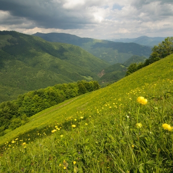 Munții Maramureșului